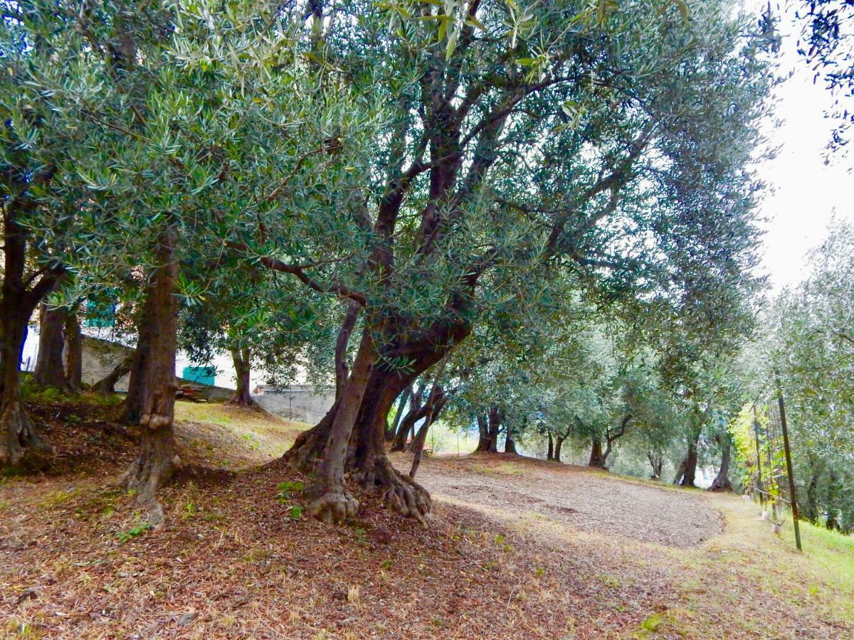Le Giuee Génova Exterior foto