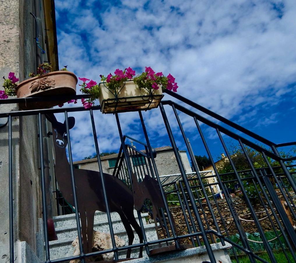 Le Giuee Génova Exterior foto